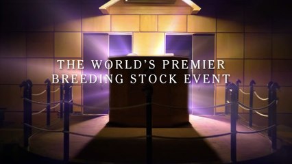 Fasig-Tipton: 2024 November Sale