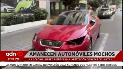 Apuñalan a profesor del CCH Naucalpan dentro de salón de clases I Ciudad Desnuda