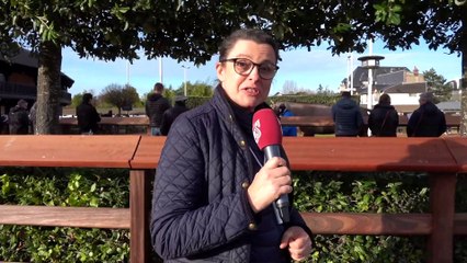 Arqana Autumn Sale Review 2023