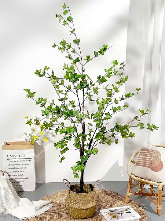 Cây thạch nam nhật bản giả chất lượng tốt, decor cao cấp, chất lượng hàng đầu, bảo hành lâu dài