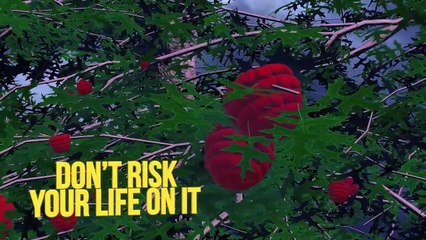 How To Survive the Zombie Apocalypse - EPIC HOW TO