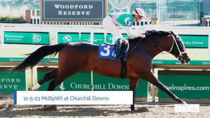 Mandaloun's Brother Mullion Takes Up Stud Duty in New York