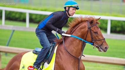 Breeders' Cup Connections: Carlos Rosas