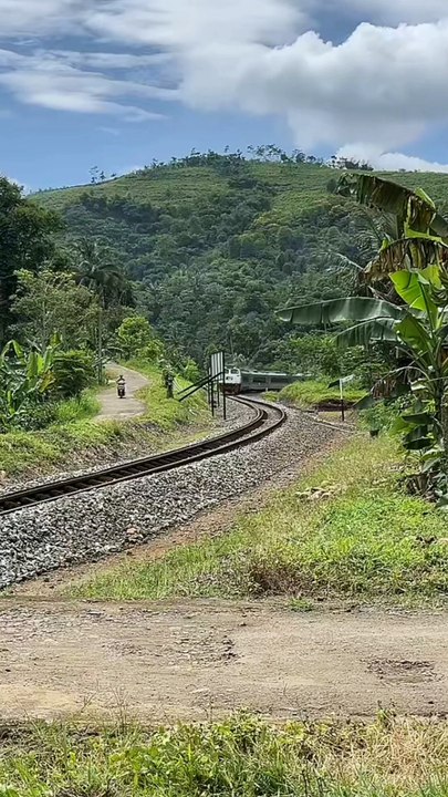 “Perjalanan kereta api melalui pemandangan hijau yang menakjubkan! Siapa yang mau ikut perjalanan ini?”