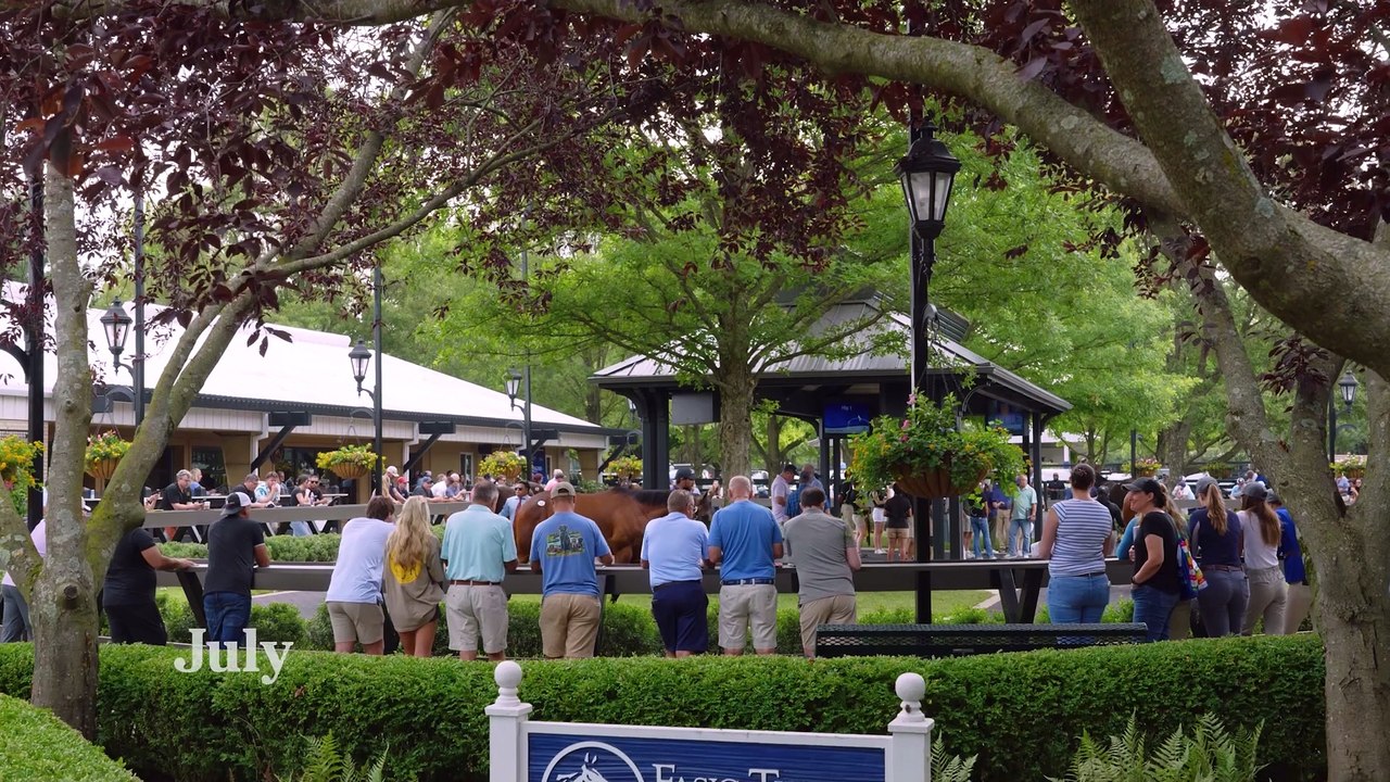 Fasig-Tipton 2025 Selected Yearlings