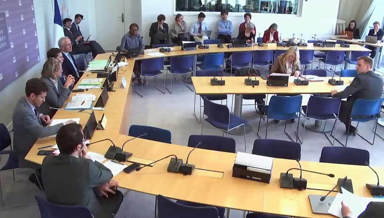 Commission des affaires européennes : Urgence démocratique d’appliquer pleinement et entièrement le règlement européen sur les services numériques - Mercredi 19 mars 2025