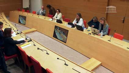 Délégation aux droits des enfants : Mme Solène Podevin-Favre, présidente de l’association Face à l’inceste - Mercredi 19 mars 2025