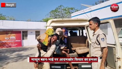 मासूम बहन-भाई पर आदमखोर सियार का हमला
