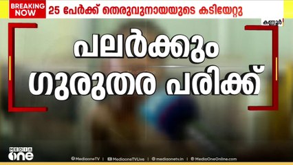 തെരുവുനായ ആക്രമണം : കണ്ണൂർ ചക്കരക്കല്ലിൽ കുട്ടികൾ ഉൾപ്പെടെ 25 പേർക്ക് തെരുവുനായയുടെ കടിയേറ്റു