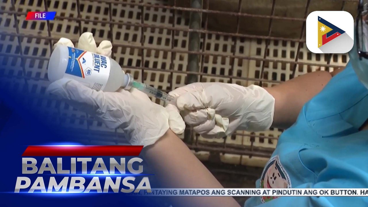 Bilang ng mga barangay sa bansa na may kaso ng ASF, nasa 39 na lang