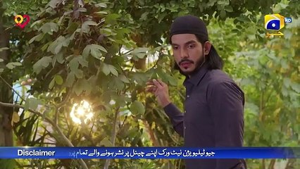 Tauba Episode 54 - [Eng Sub] - Mikaal Zulfiqar - Momina Iqbal - Mohsin Abbas Haider - 9th Dec 2024