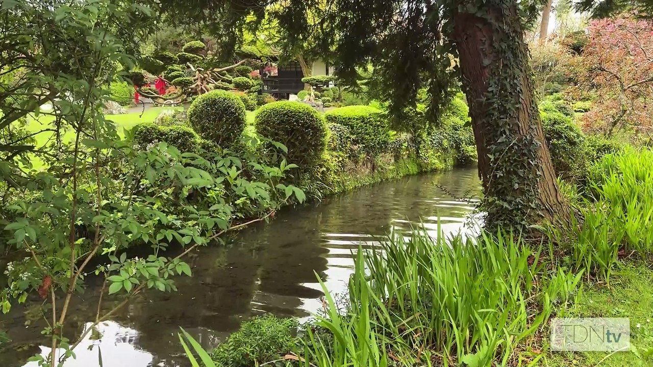 How the Irish National Stud Made Tourism a Major Source of Farm Revenue