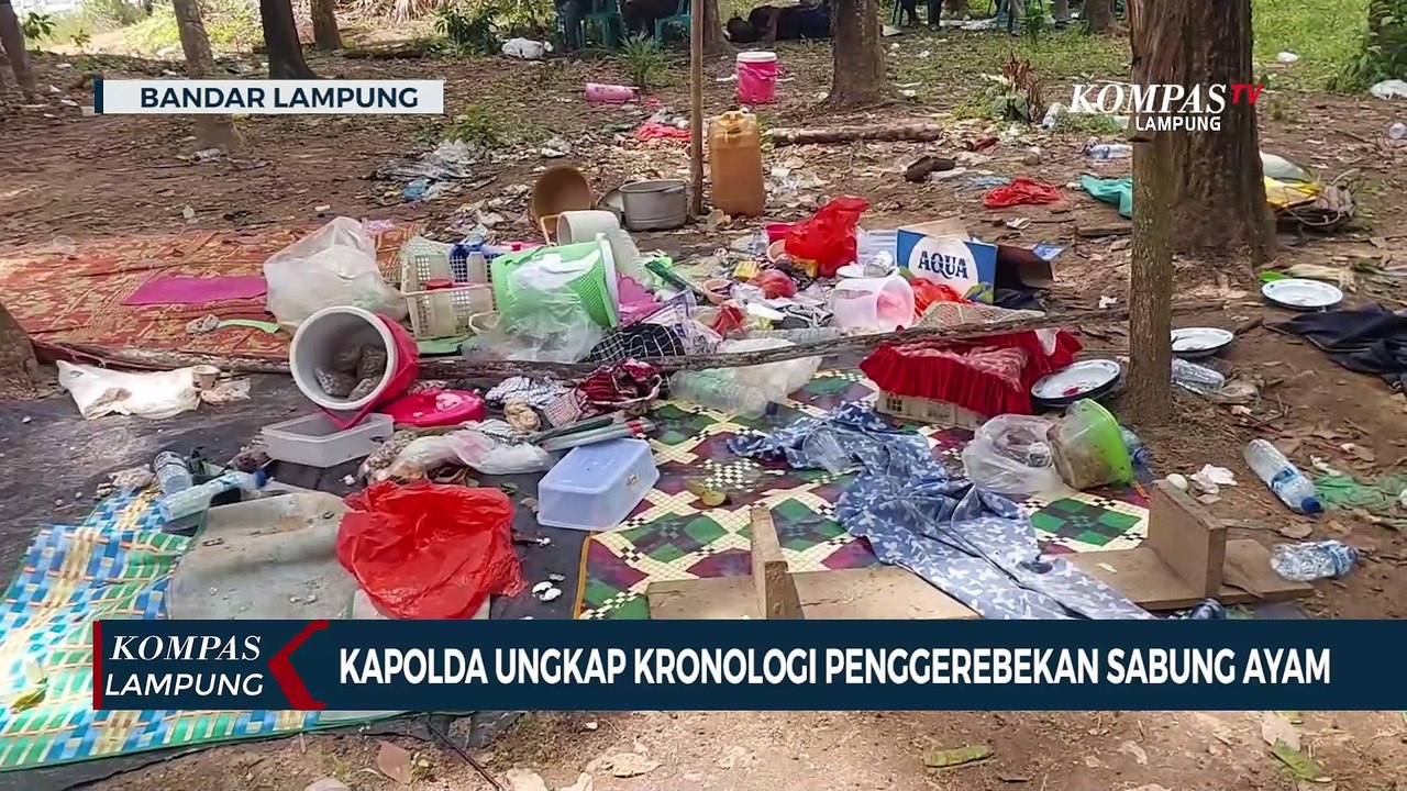 Kapolda Lampung Ungkap Kronologi Penggerebekan Judi Sabung Ayam