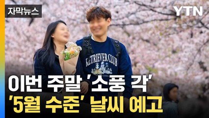 [자막뉴스] 다시 찾아온 봄기운... 불청객 '스모그' 유입 / YTN