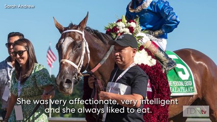 Breeders' Cup Connections: Fierceness and Byron Lopez