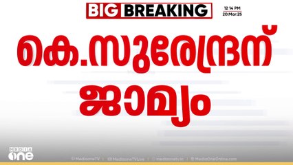 സുൽത്താൻബത്തേരി തെരഞ്ഞെടുപ്പ് കോഴക്കേസ് : ബിജെപി സംസ്ഥാന പ്രസിഡണ്ട് കെ സുരേന്ദ്രന് ജാമ്യം