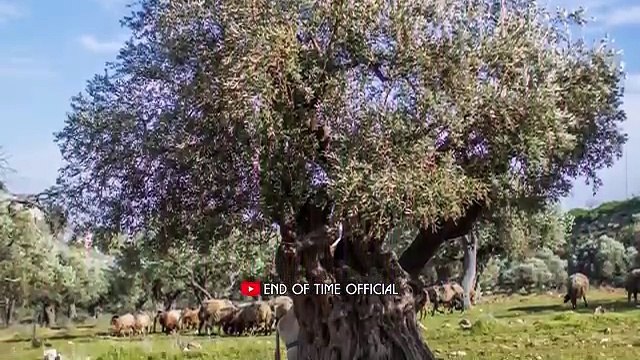 End of Time Imam Mahdi A.S ka Zahoor - Hazrat Isa A.S ka nazool - Dajjal ka kharooj - Bari Jangen