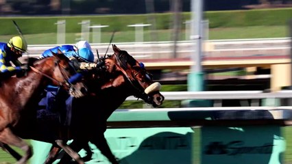 Subsanador and Taylor Cambra Are Headed to the Breeders' Cup Classic