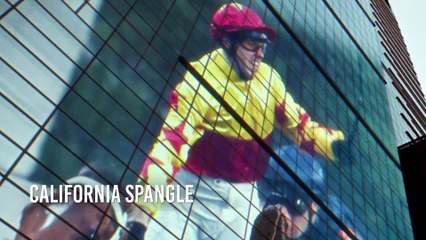 The Hong Kong International Races