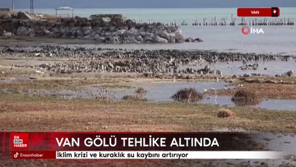 Van Gölü tehlike altında: İklim krizi ve kuraklık su kaybını artırıyor