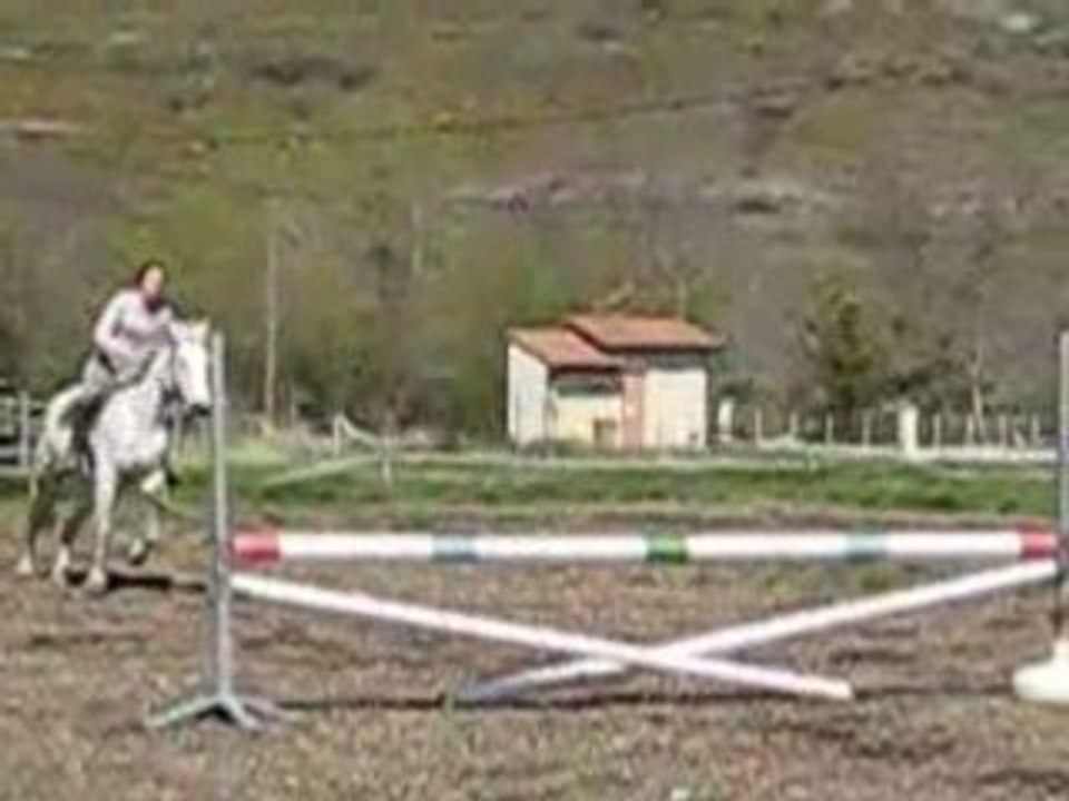 Izou oxer 1m15 avril 2OO8