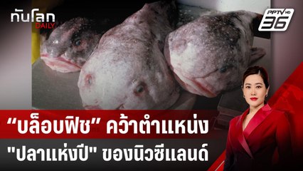 “บล็อบฟิช” คว้าตำแหน่ง "ปลาแห่งปี" ของนิวซีแลนด์ | ทันโลก DAILY | 20 มี.ค. 68