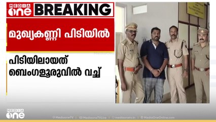 കഞ്ചാവ് ആദ്യം എടുക്കുന്നത് ആന്ധ്രയിൽ നിന്ന്, പിന്നീട് ബെം​ഗളൂരു വഴി  കേരളത്തിലെത്തിക്കും...