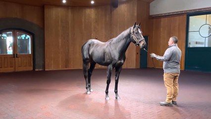 Big City Lights Earns Fastest Horse Honors