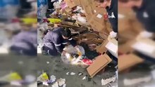 Bu 5 minik pres makinesine girmek üzereyken son anda kurtarıldı