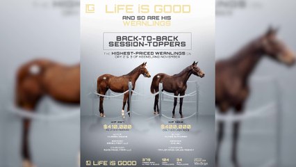 This Week's Fastest Horse? He's the Only One With A Triple-Digit Beyer