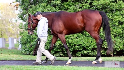 With Three New Recruits, Spendthrift Gearing Up for Another Busy Breeding Season
