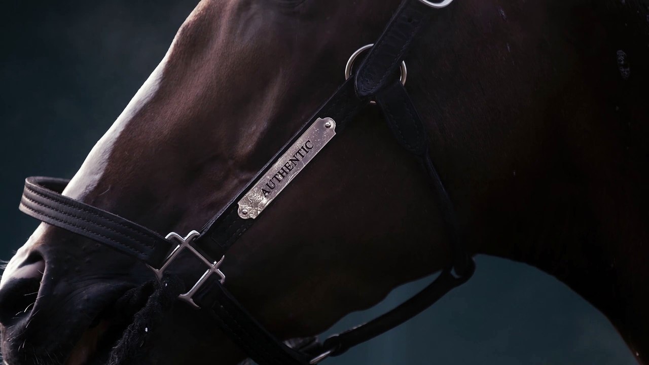 Spendthrift: Authentic