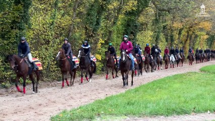 Prix Marcel Boussac Winner Vertical Blue Added to Tattersalls December Sale