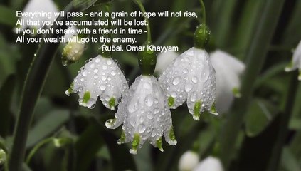 Sounds of nature and classical music - music that the heart feels