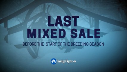 Fasig-Tipton 2025 Kentucky Winter Mixed