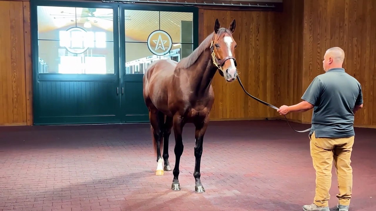 Which Fast Filly Earned 'Fastest Horse of the Week' Honors?