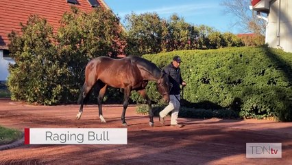 Sandman's trainer Mark Casse is the Gainesway Guest of the Week