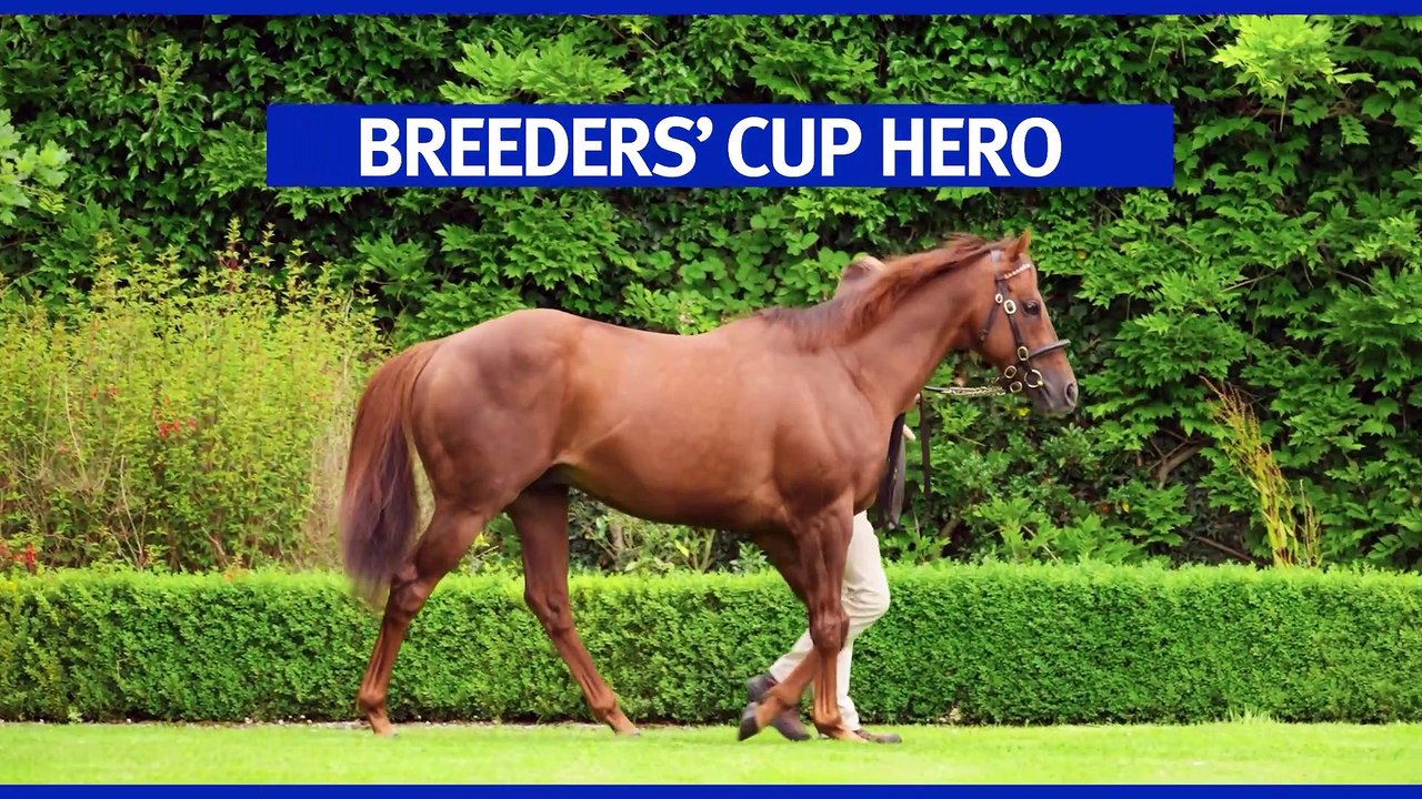 Darley's News You Can Use: Sires With First 2YOs in 2025