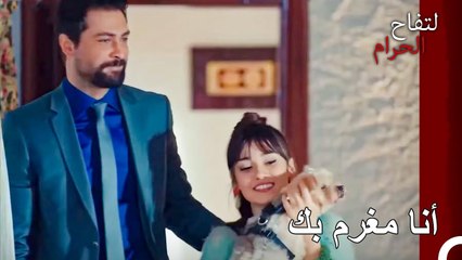 هل قلت لك أنني أعجب بقلبك المليء بالحب؟ - التفاح الحرام