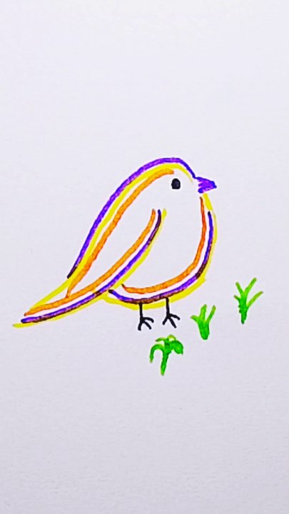 Sparrow drawing