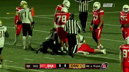 Le Grand Résumé - Score rarissime entre Diables Rouges et Cougars !