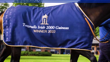 News You Can Use, Presented by Darley: Classic Fever