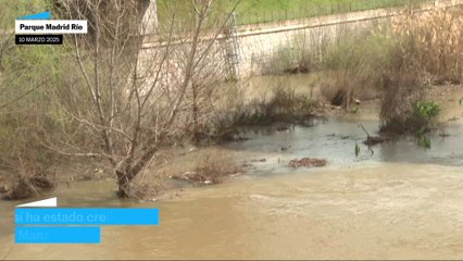 La crecida del río Manzanares por las lluvias de marzo