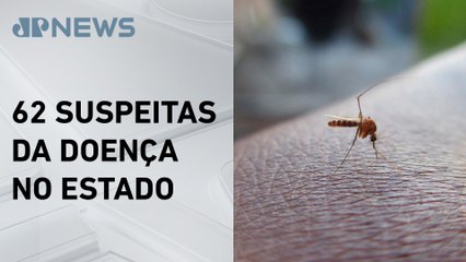 Minas Gerais tem 19 mortes confirmadas por dengue