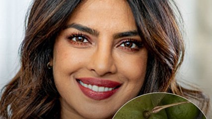 अमरूद बेचने वाली ने दिखाई खुद्दारी, हैरान हुईं Priyanka, बोलीं...