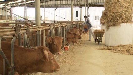 [녹색] 농촌진흥청 '축산 청년 농업인 거점 지역' 3기 운영 시작 / YTN