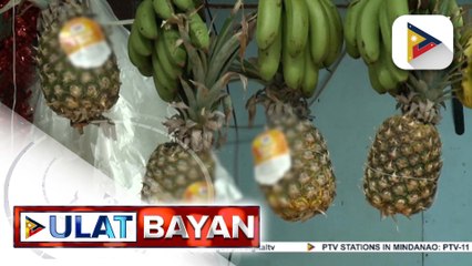 D.A., tiwala na tataas ang produksyon ng pinya ngayong taon