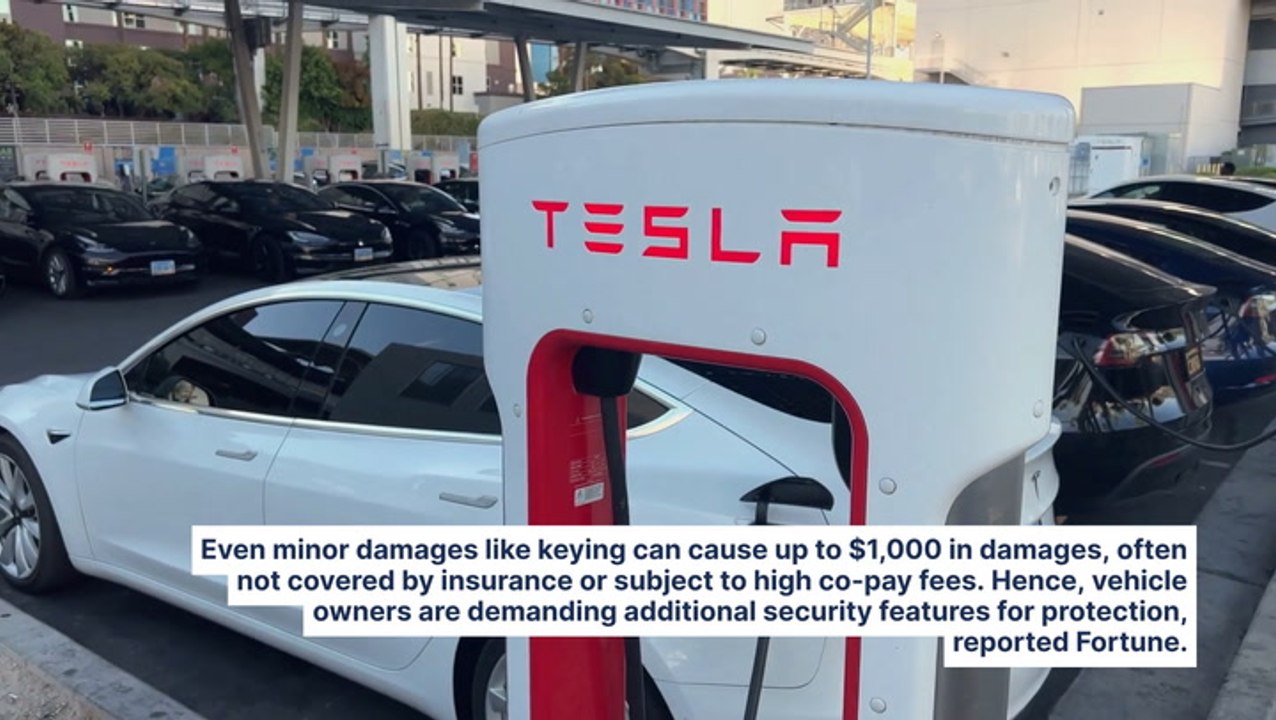 Tesla Owners Call On Elon Musk For Advanced Security Features Amid Rising Vandalism: 'There Definitely Is Fear Right Now'