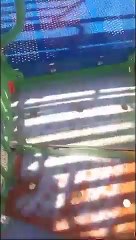 Dominoes 7 Live the next day after a snowy night