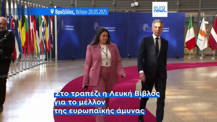 Σύνοδος Κορυφής: Η Λευκή Βίβλος στο επίκεντρο